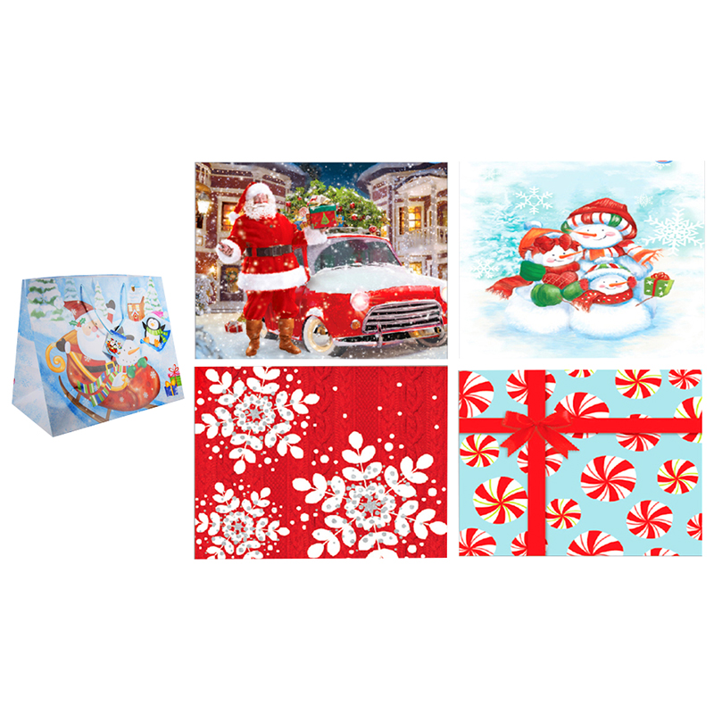 Paper Trendz Extra-Wide Gift Bag - Horizontal - Assorted