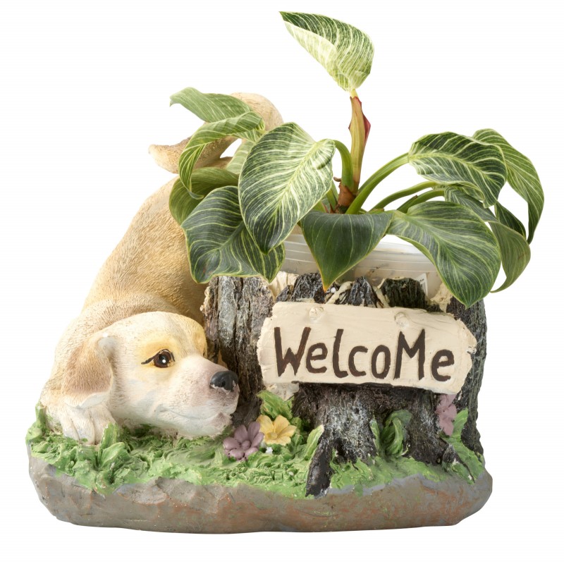 Collection by London Drugs Welcome Dog Planter - 32x31x28cm