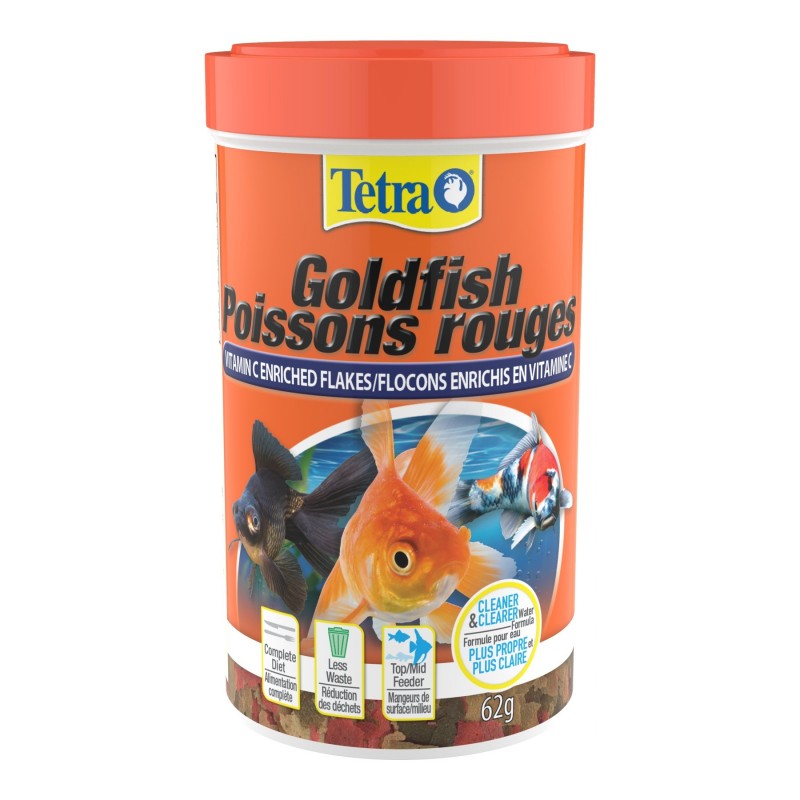 Goldfish hot sale tetra fish