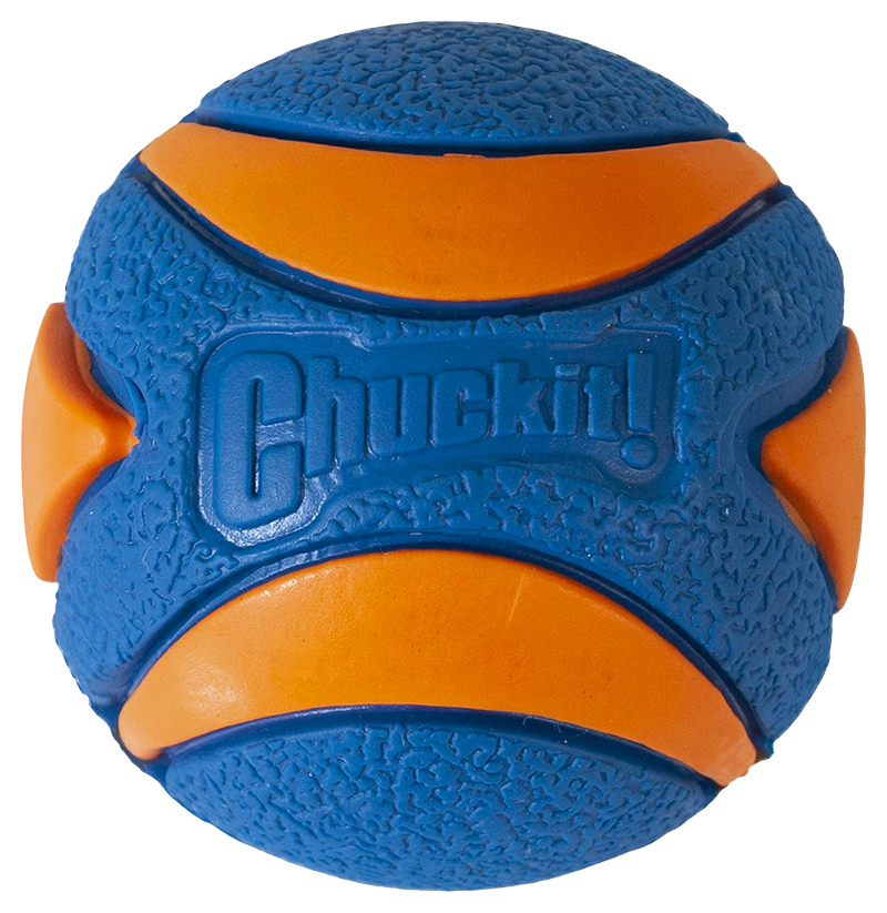 Chuckit! Ultra Squeaker ball For Dogs - Blue/Orange