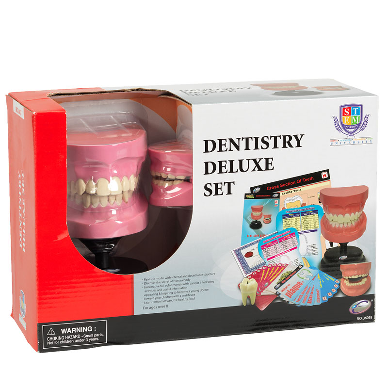 dentist deluxe set