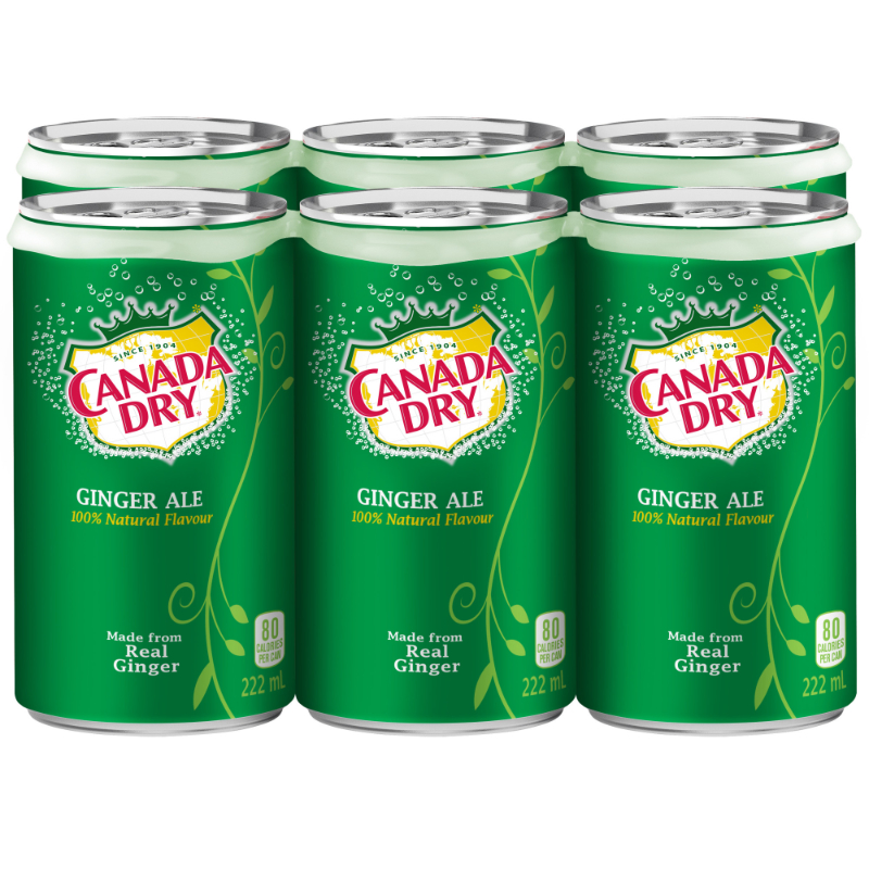 Canada Dry Gingerale - 6 x 222ml