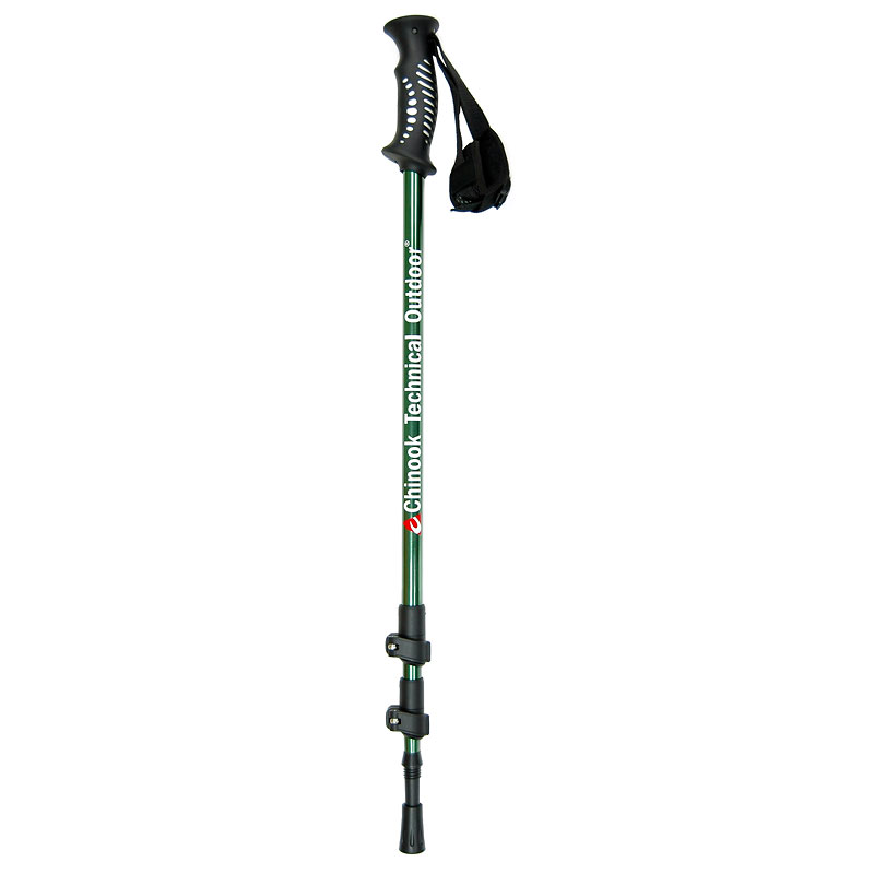 Denali carbon best sale walking pole