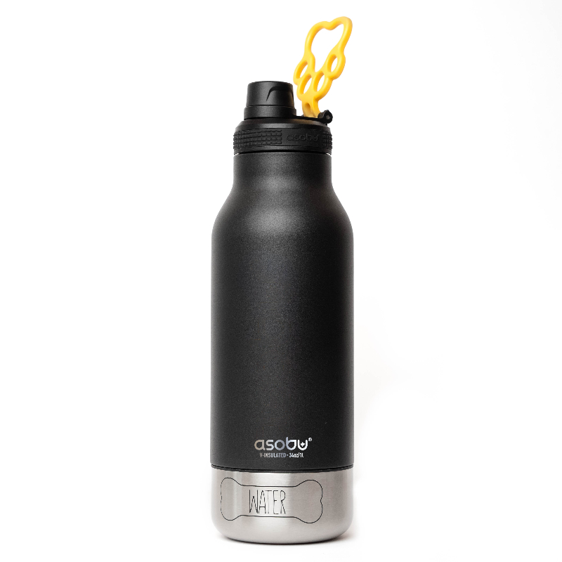 Asobu Stainless Steel Buddy Bottle