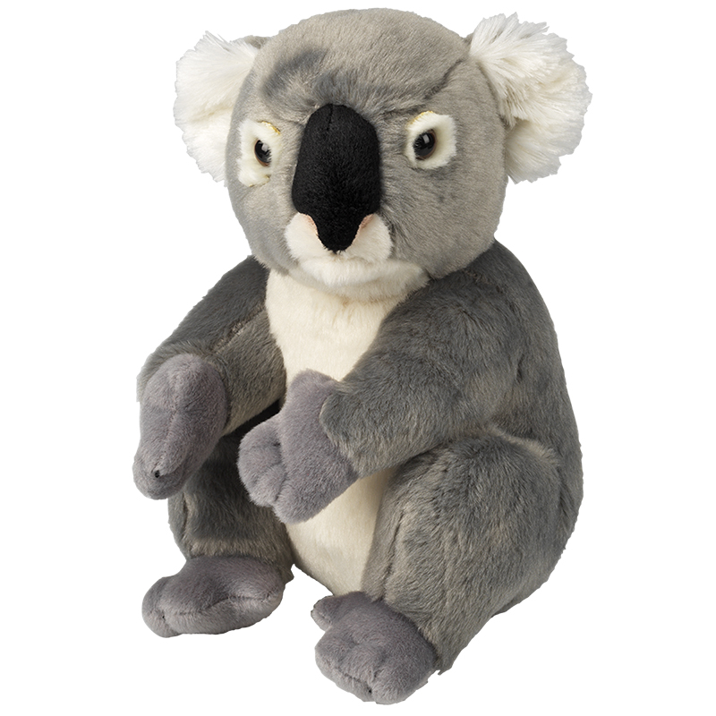 stuffed toy koala bear