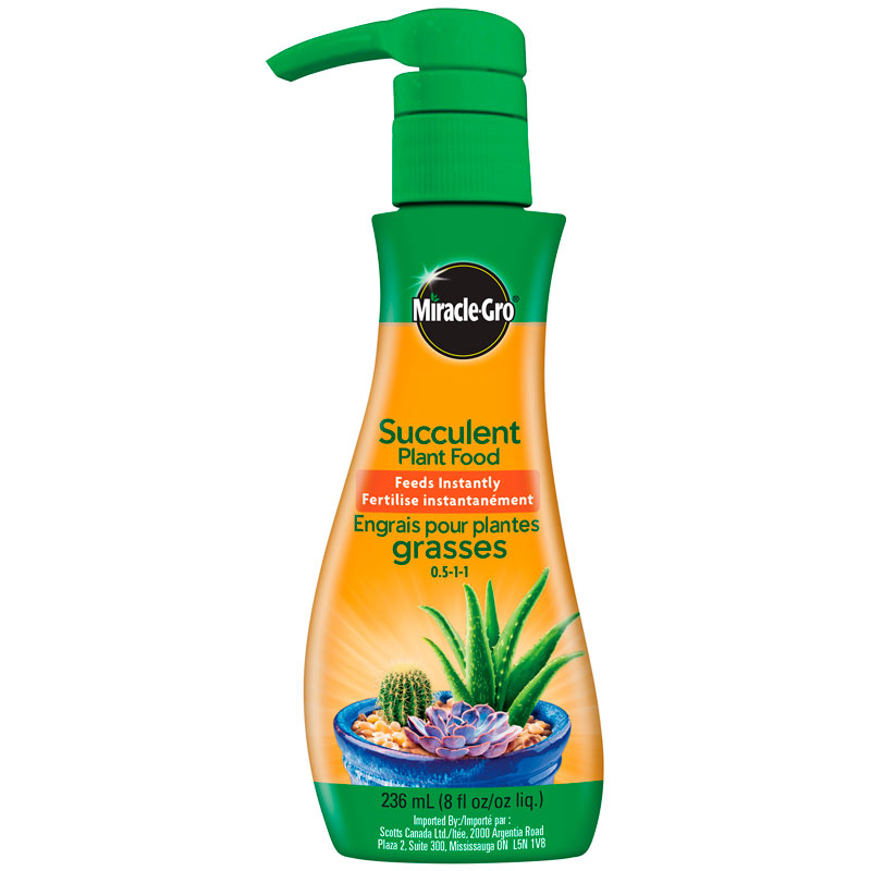 Miracle Gro Succulent - 236ml