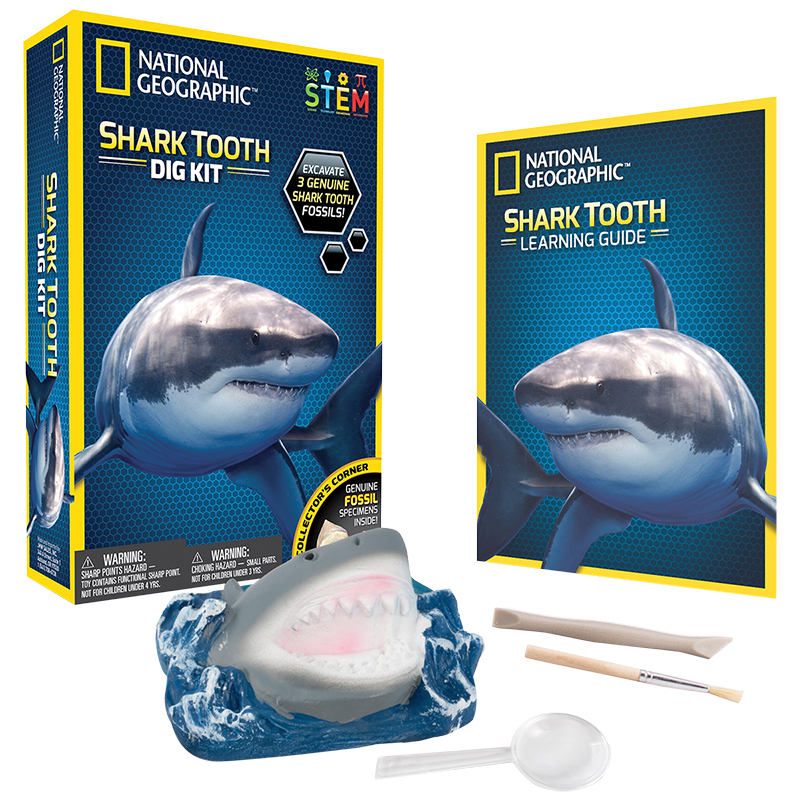 National Geographic Shark Tooth Dig Kit