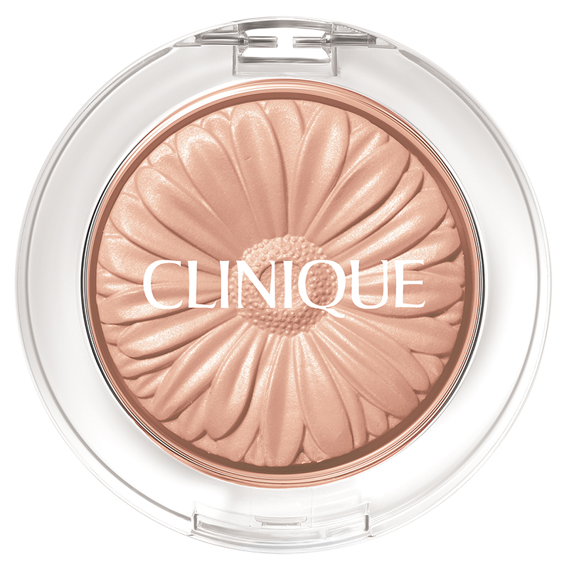 Clinique Nude Pop Swatch Clinique Pop Blush Swatches Clinique Nude My