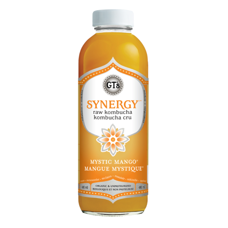 GT's Synergy Raw Kombucha - Mystic Mango - 480ml