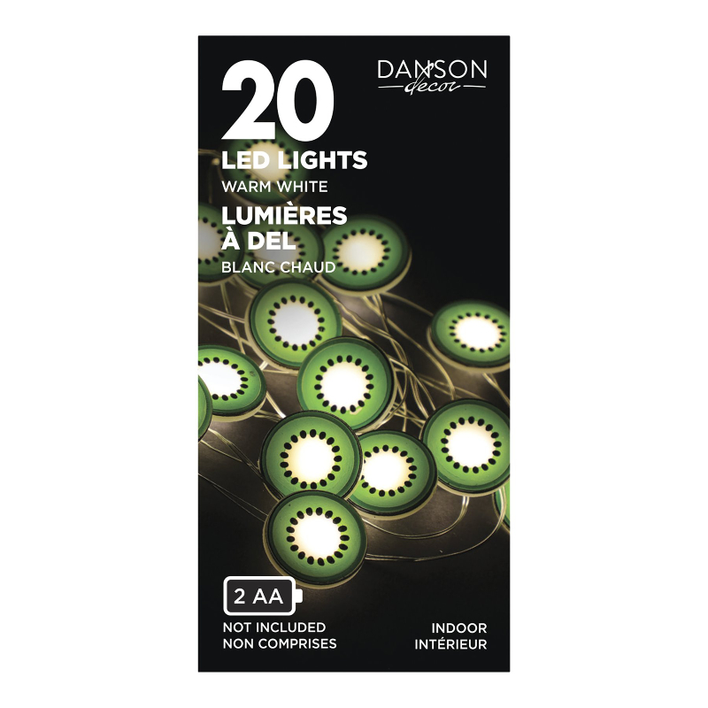 Danson Decor LED String Lights - Assorted - 20 Lights